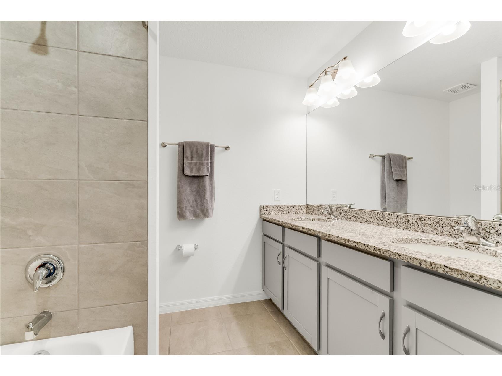 3205 Amaranth Street Tavares FL 32778 O6418755 image41