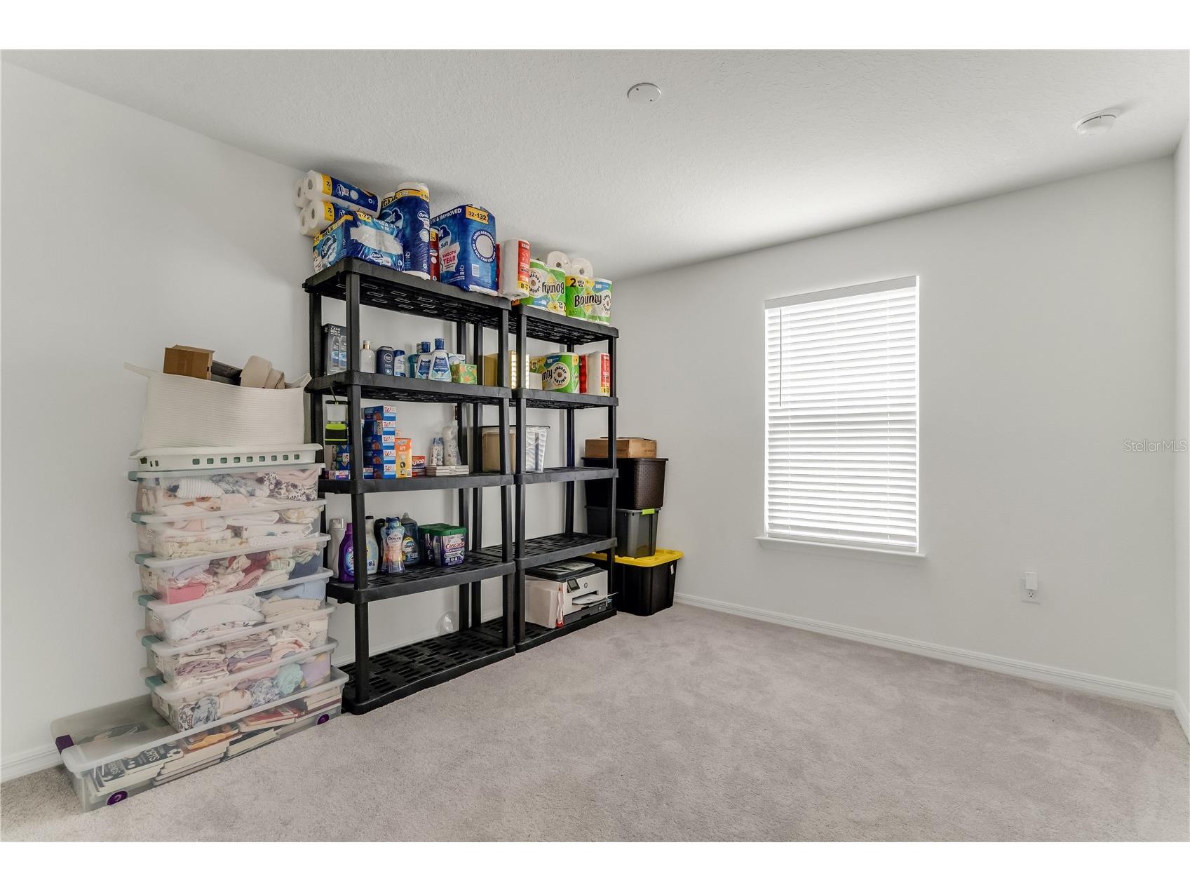 3205 Amaranth Street Tavares FL 32778 O6418755 image43