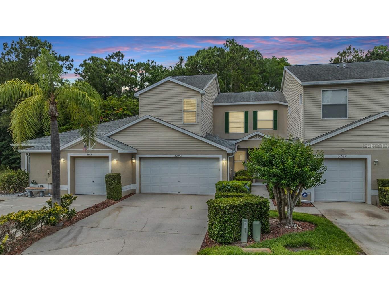 3205 Audubon Court Tarpon Springs FL 34688 TB8382822 image1