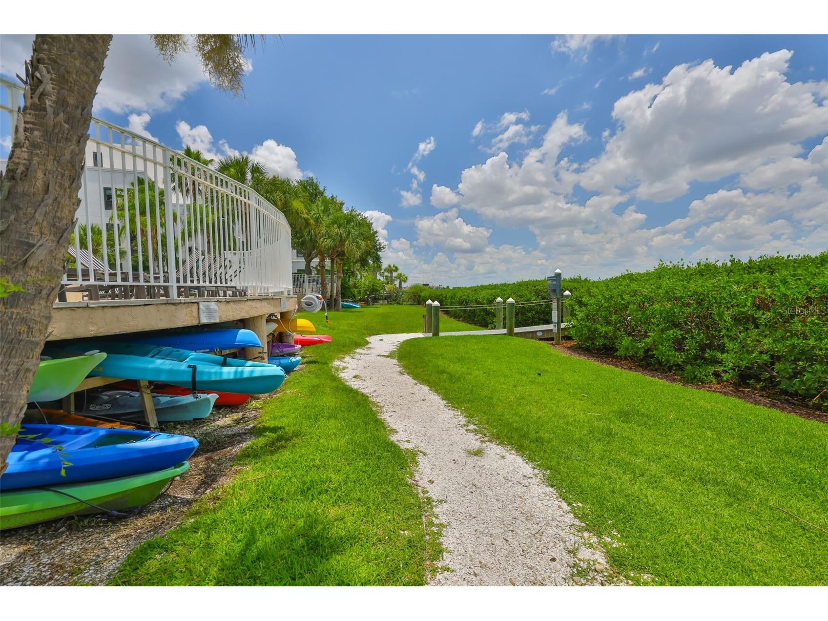 3205 Bay Club Circle #3205 Tampa FL 33607 TB8516359 image26