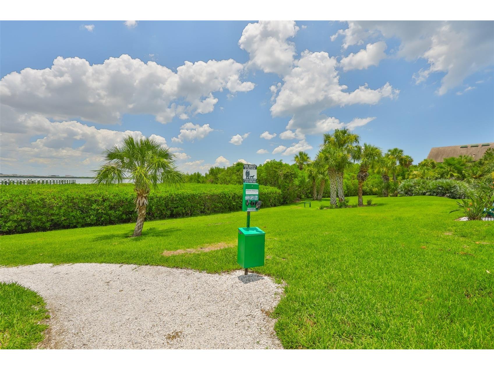 3205 Bay Club Circle #3205 Tampa FL 33607 TB8516359 image27