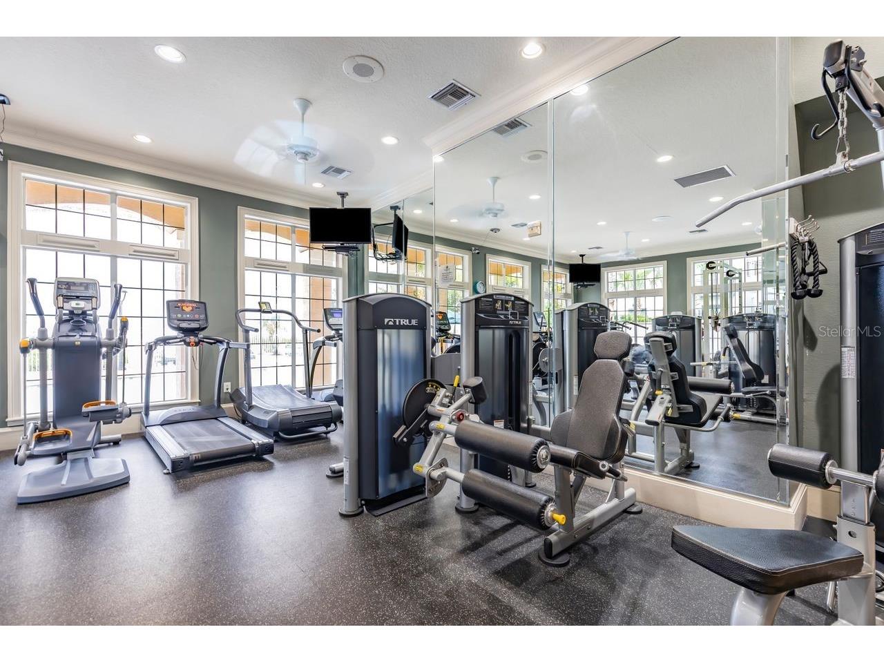 3205 Bay Club Circle #3205 Tampa FL 33607 TB8516359 image34