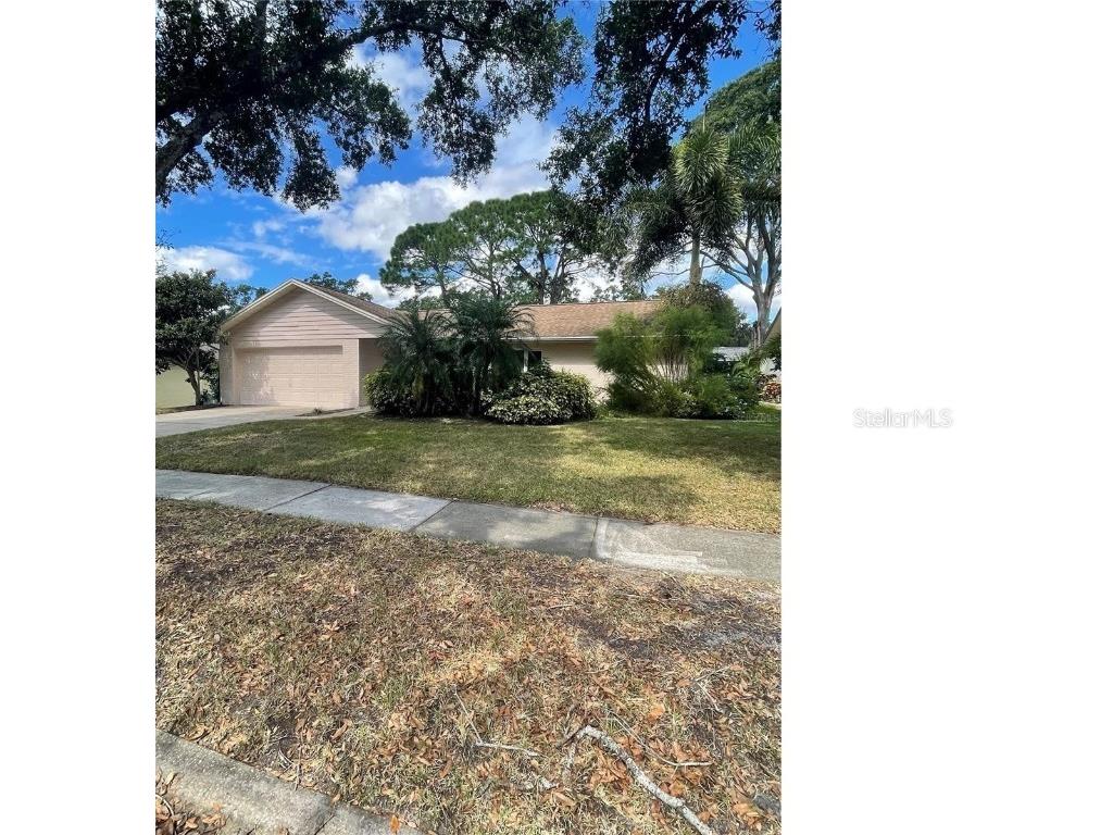 3205 Braemar Terrace Palm Harbor FL 34684 U8194326 image1
