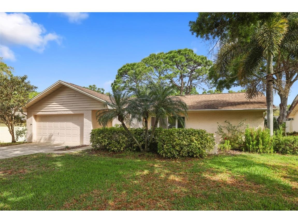 3205 Braemar Terrace Palm Harbor FL 34684 U8232423 image1