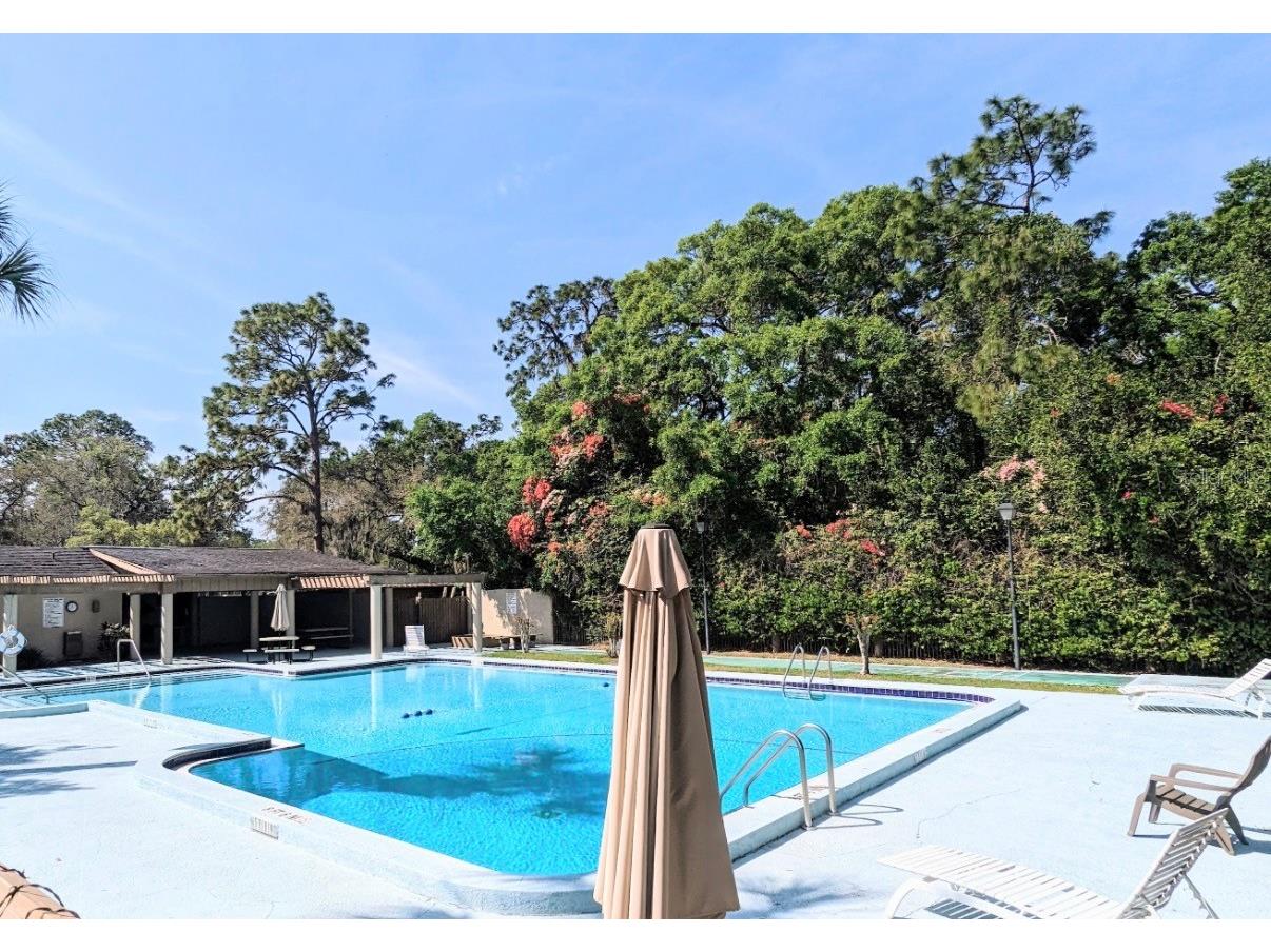 3205 Deer Court Brandon FL 33511 TB8516477 image13