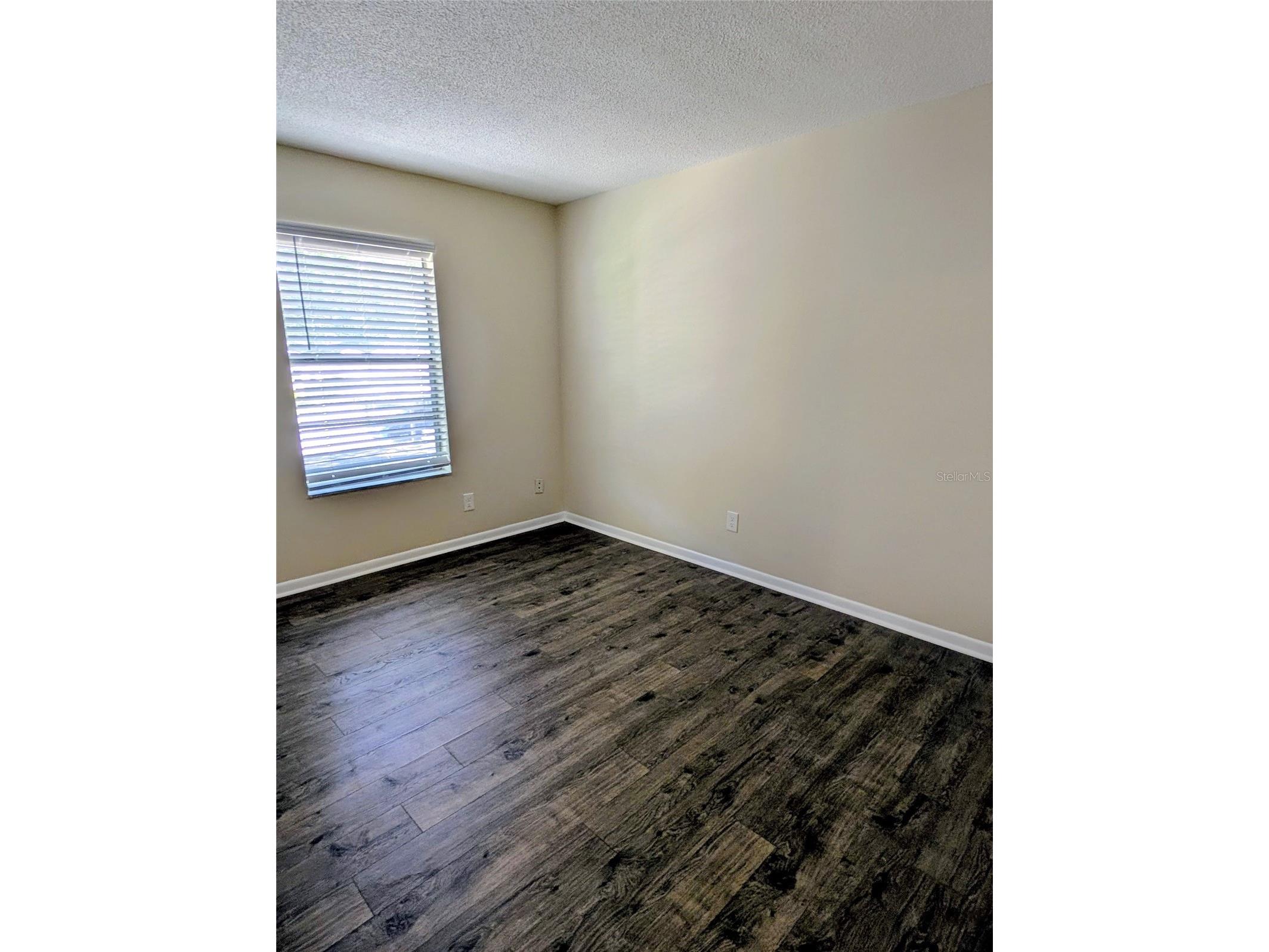 3205 Deer Court Brandon FL 33511 TB8516477 image8