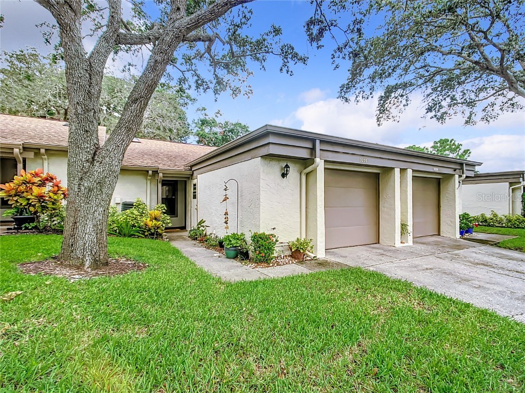 3205 Green Dolphin Street #3205 Tarpon Springs FL 34689 U8210931 image1