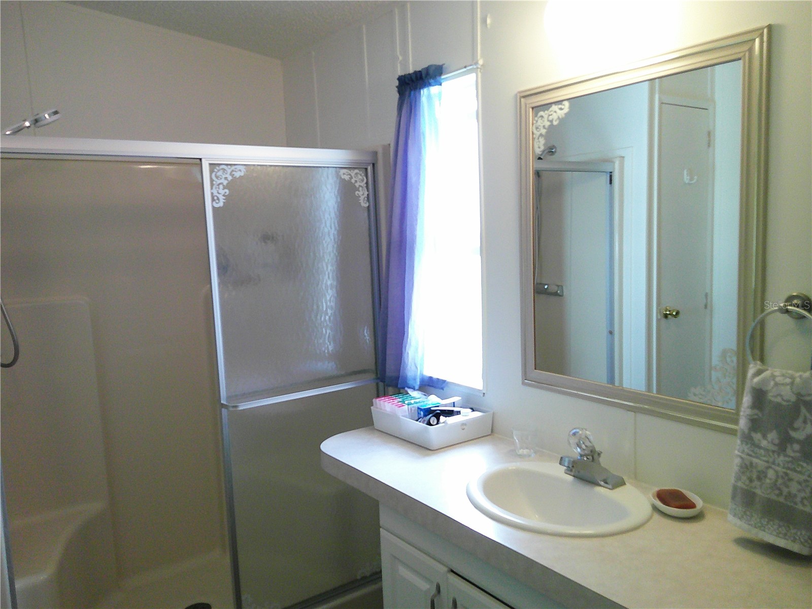 3205 Hickory Drive Wesley Chapel FL 33543 TB8497093 image21