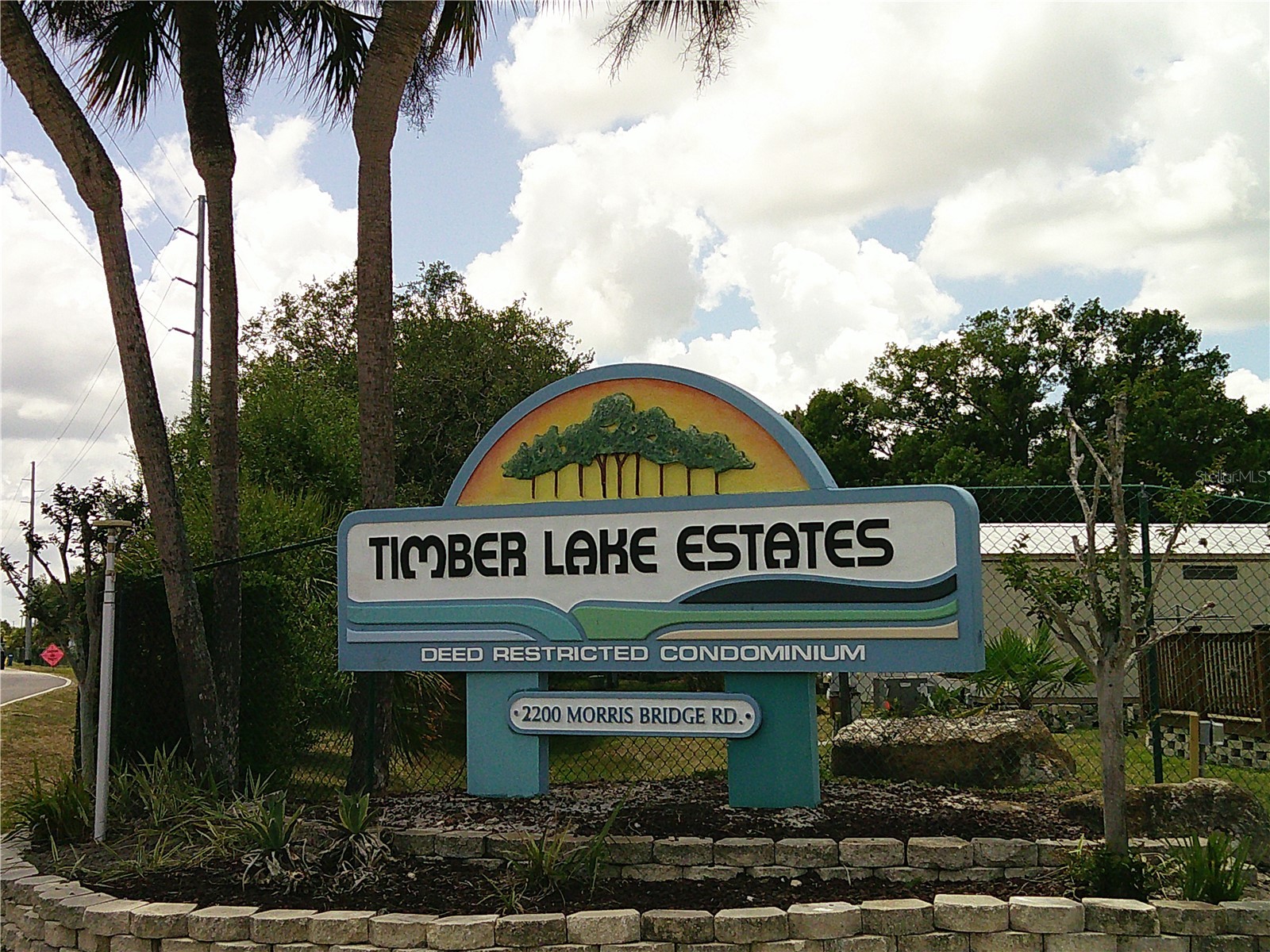 3205 Hickory Drive Wesley Chapel FL 33543 TB8497093 image28
