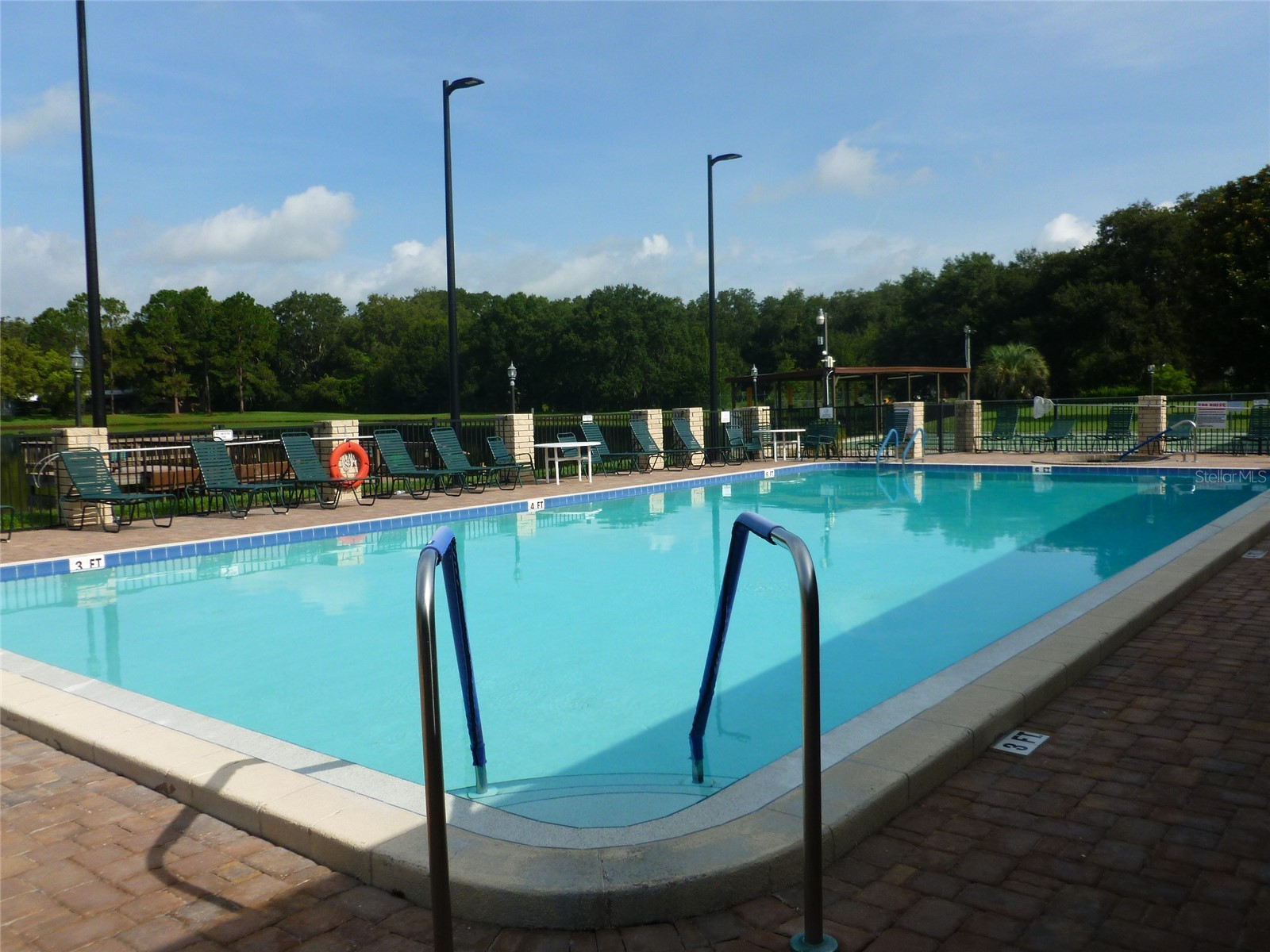 3205 Hickory Drive Wesley Chapel FL 33543 TB8497093 image36