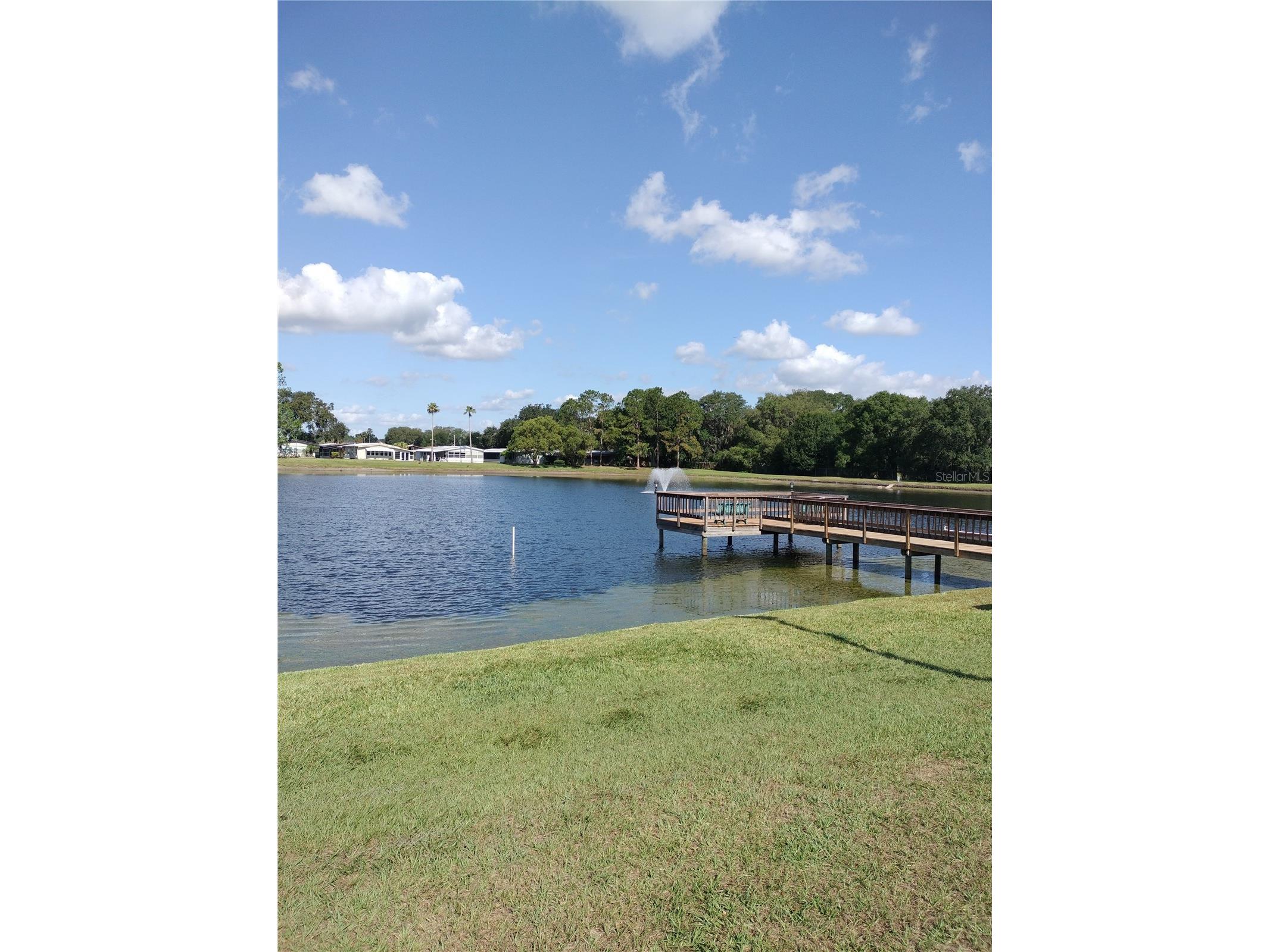 3205 Hickory Drive Wesley Chapel FL 33543 TB8497093 image42