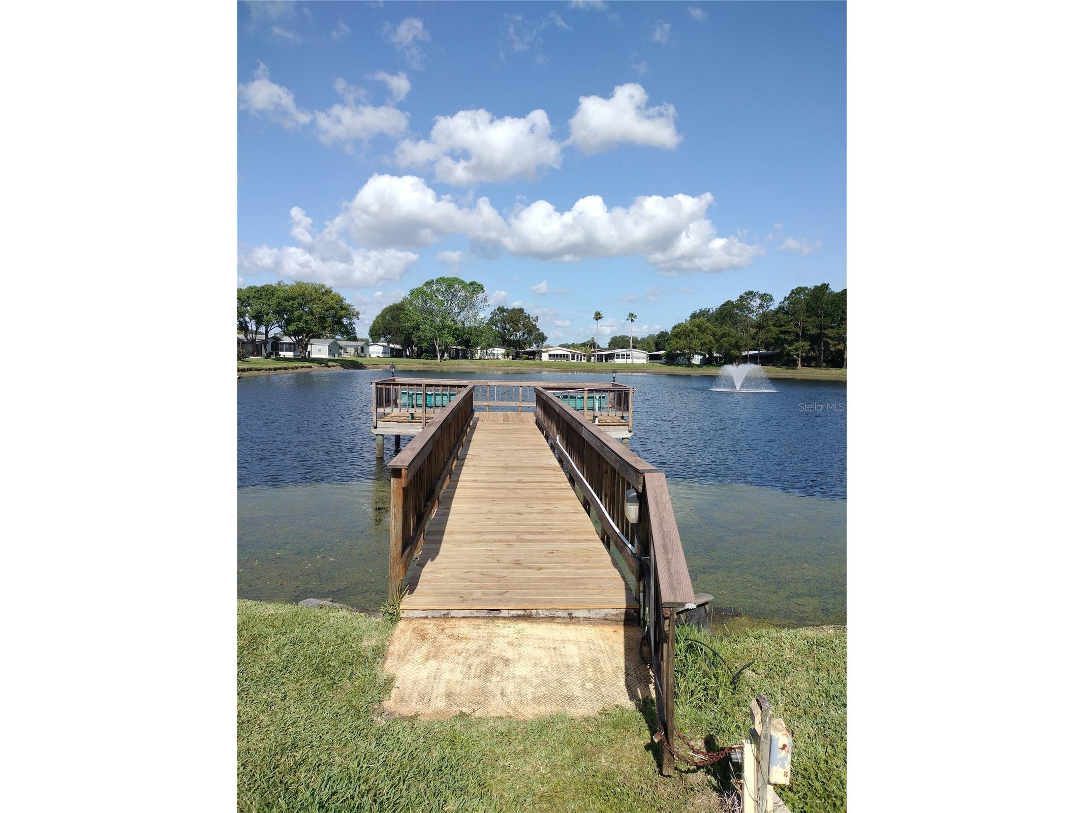 3205 Hickory Drive Wesley Chapel FL 33543 TB8497093 image43