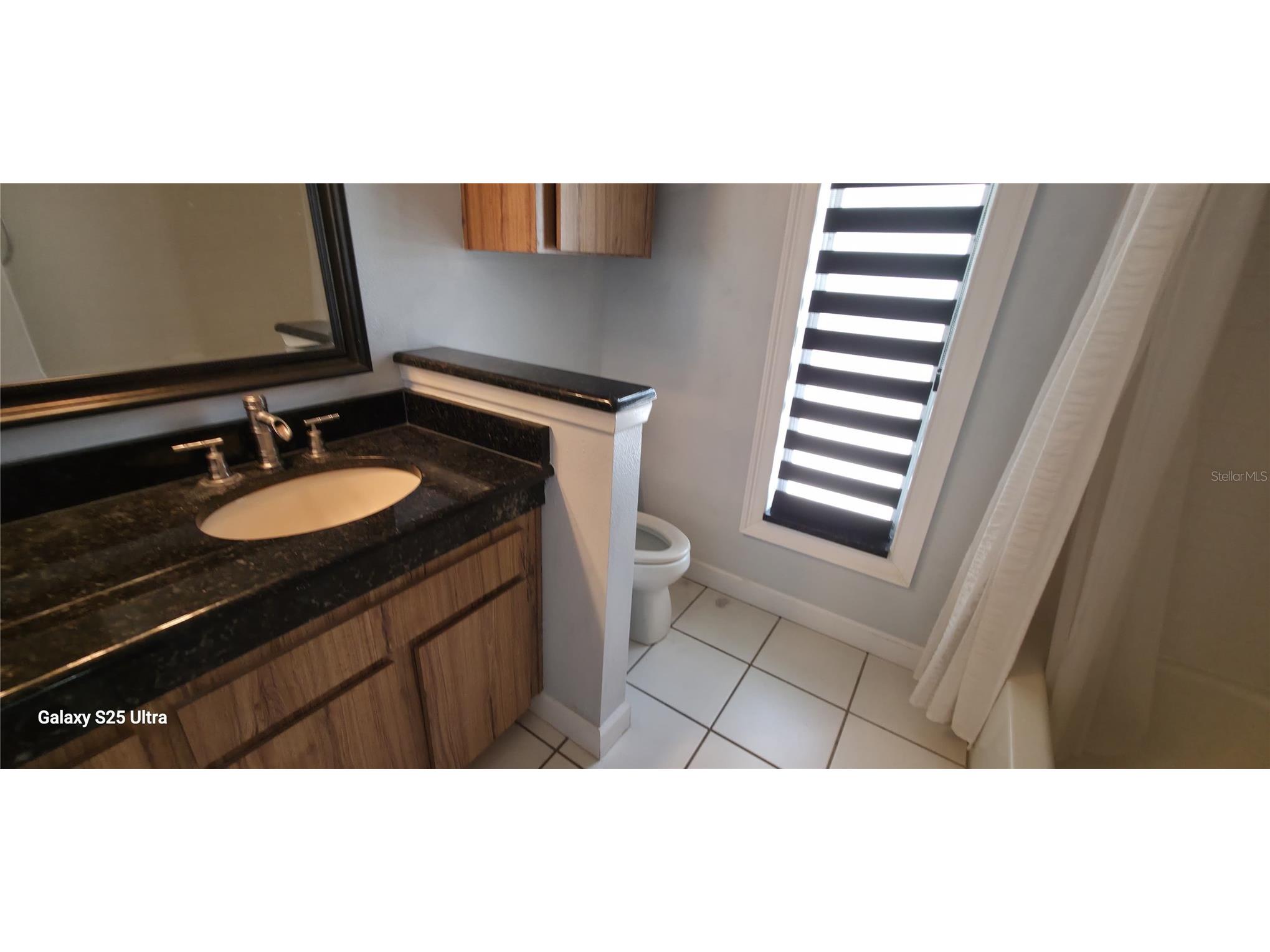 3205 Laurel Dale Drive Tampa FL 33618 - LAKE MAGDALENE O6425108 image10