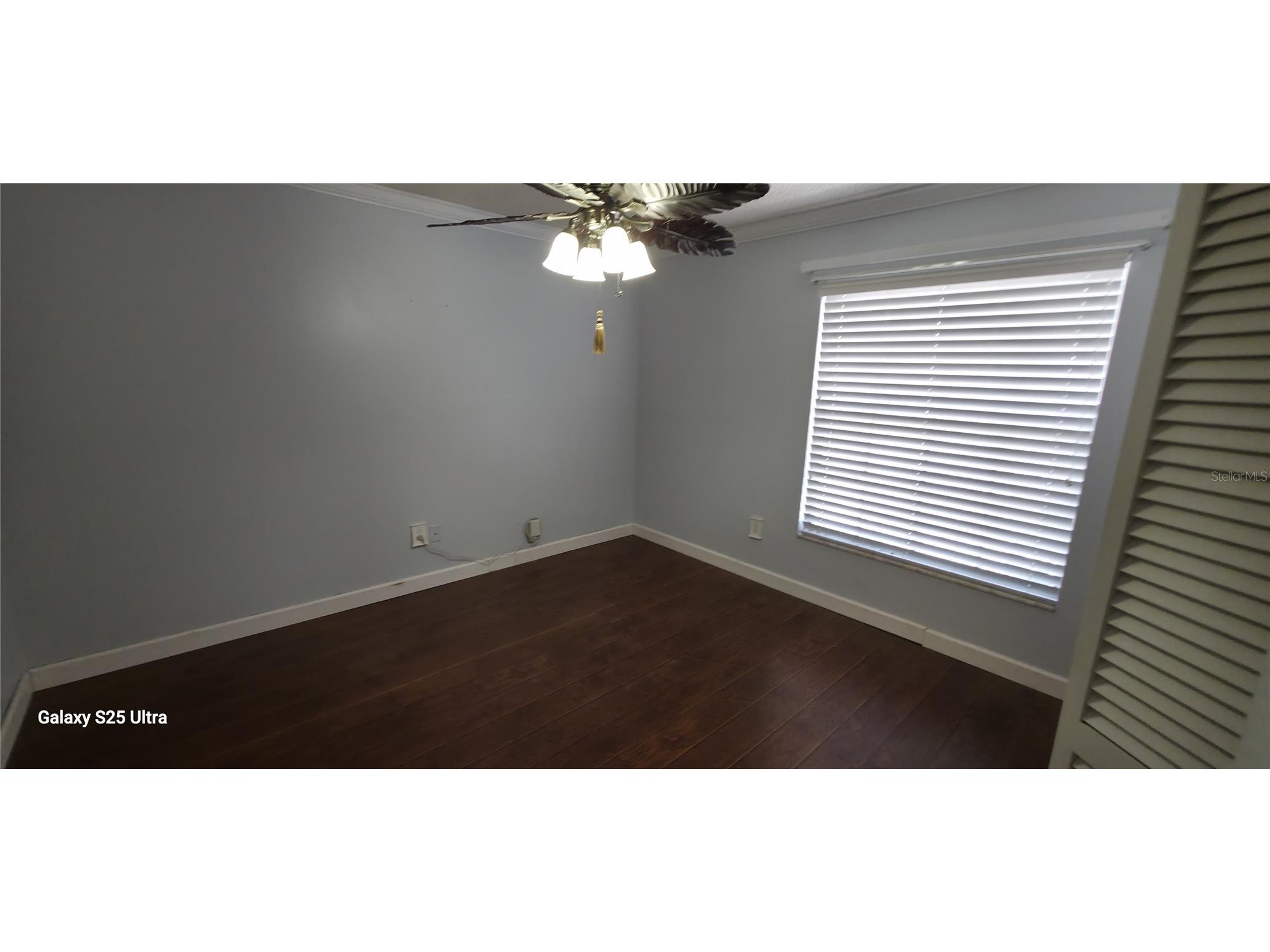3205 Laurel Dale Drive Tampa FL 33618 - LAKE MAGDALENE O6425108 image11