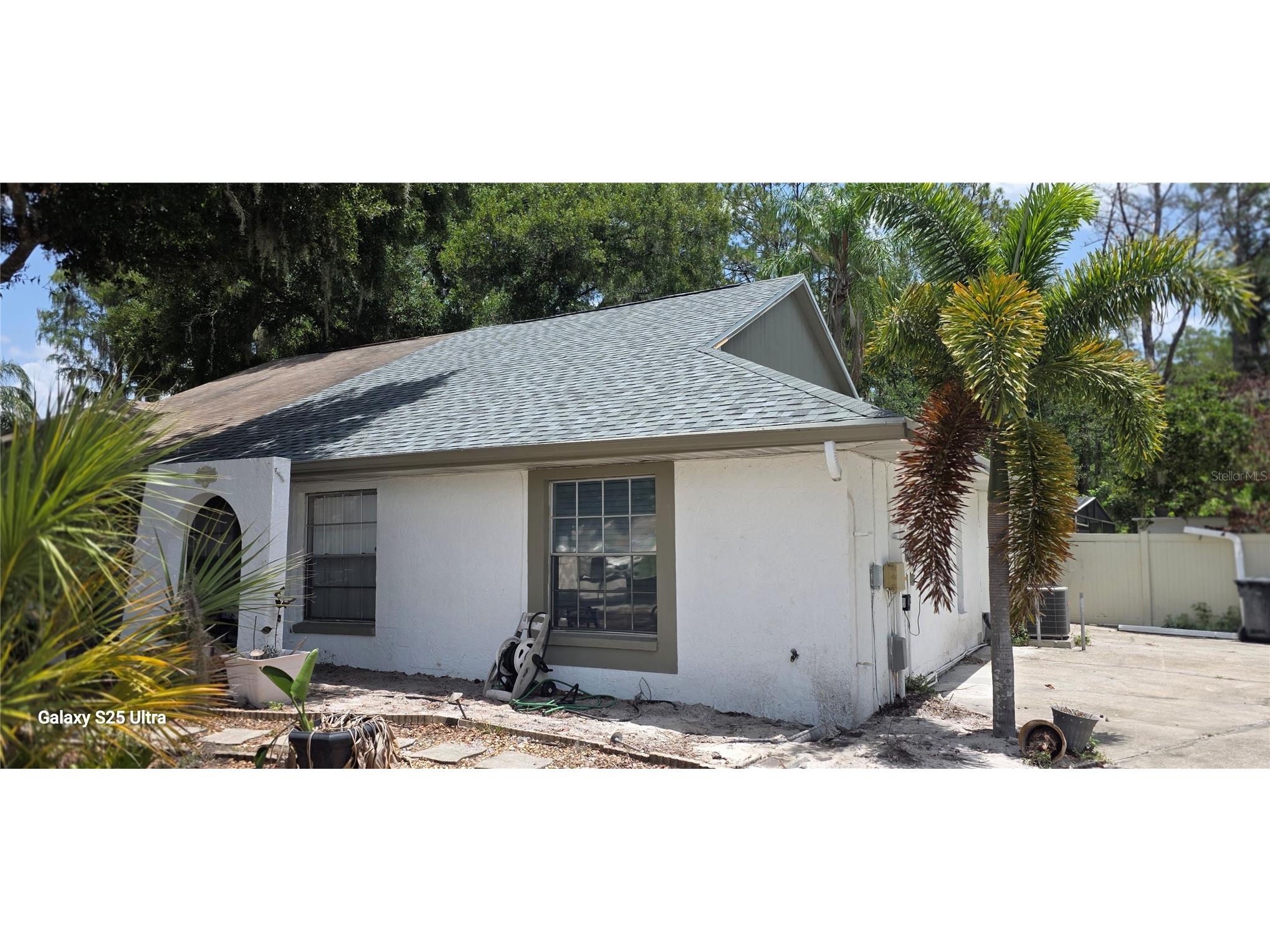3205 Laurel Dale Drive Tampa FL 33618 - LAKE MAGDALENE O6425108 image2