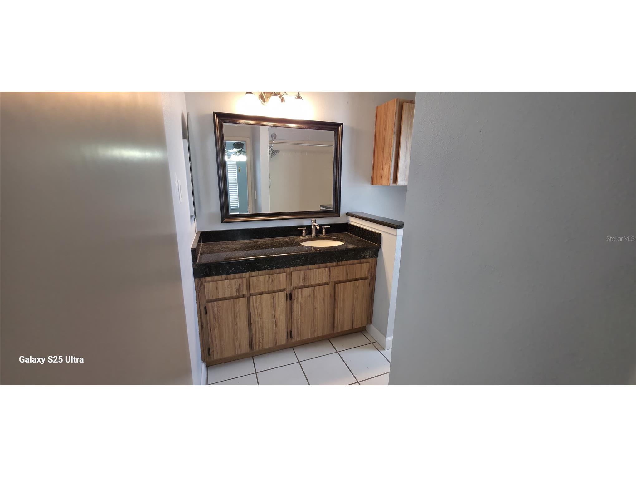 3205 Laurel Dale Drive Tampa FL 33618 - LAKE MAGDALENE O6425108 image9