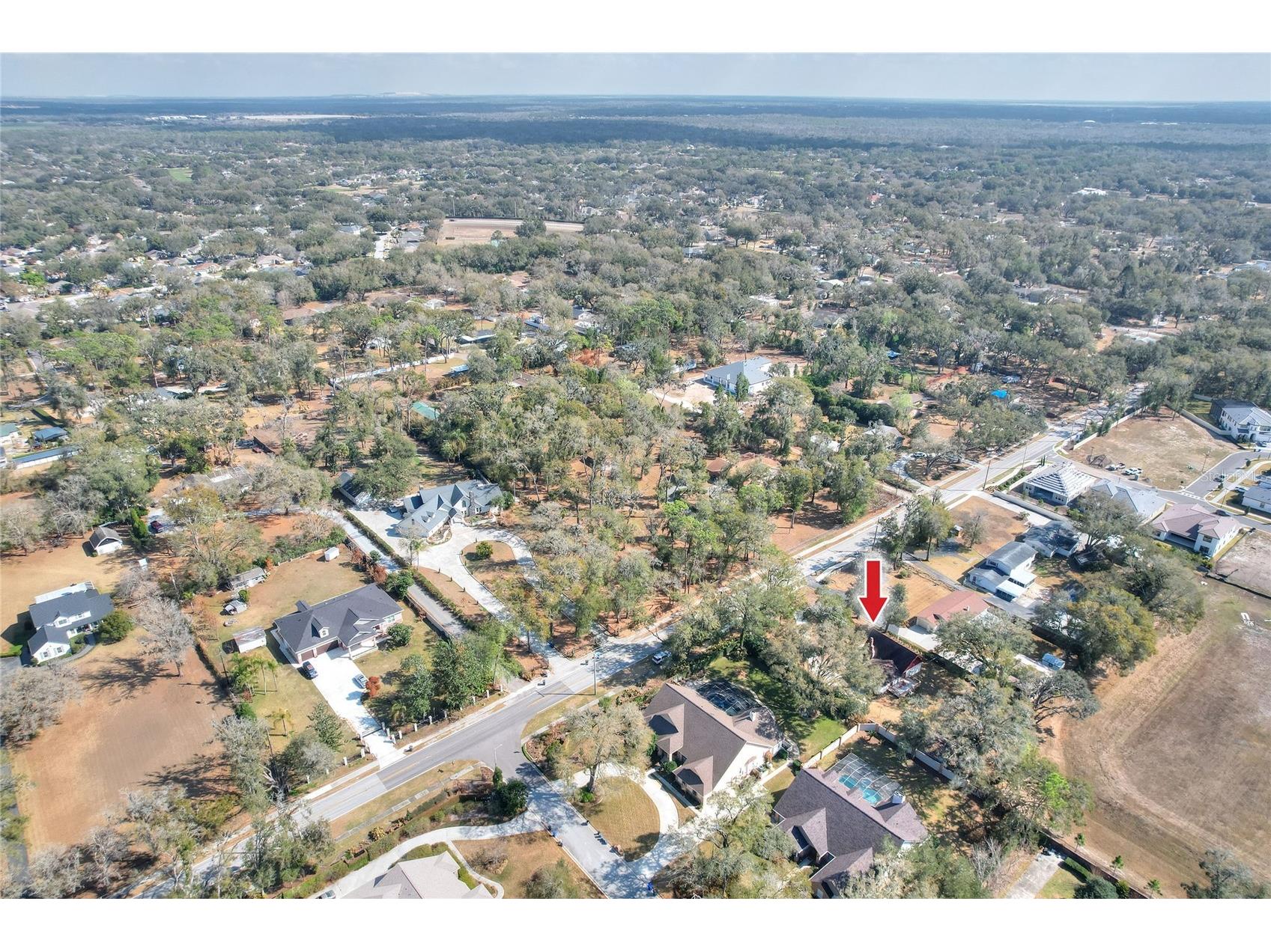 3205 Little Road Valrico FL 33596 TB8469553 image19
