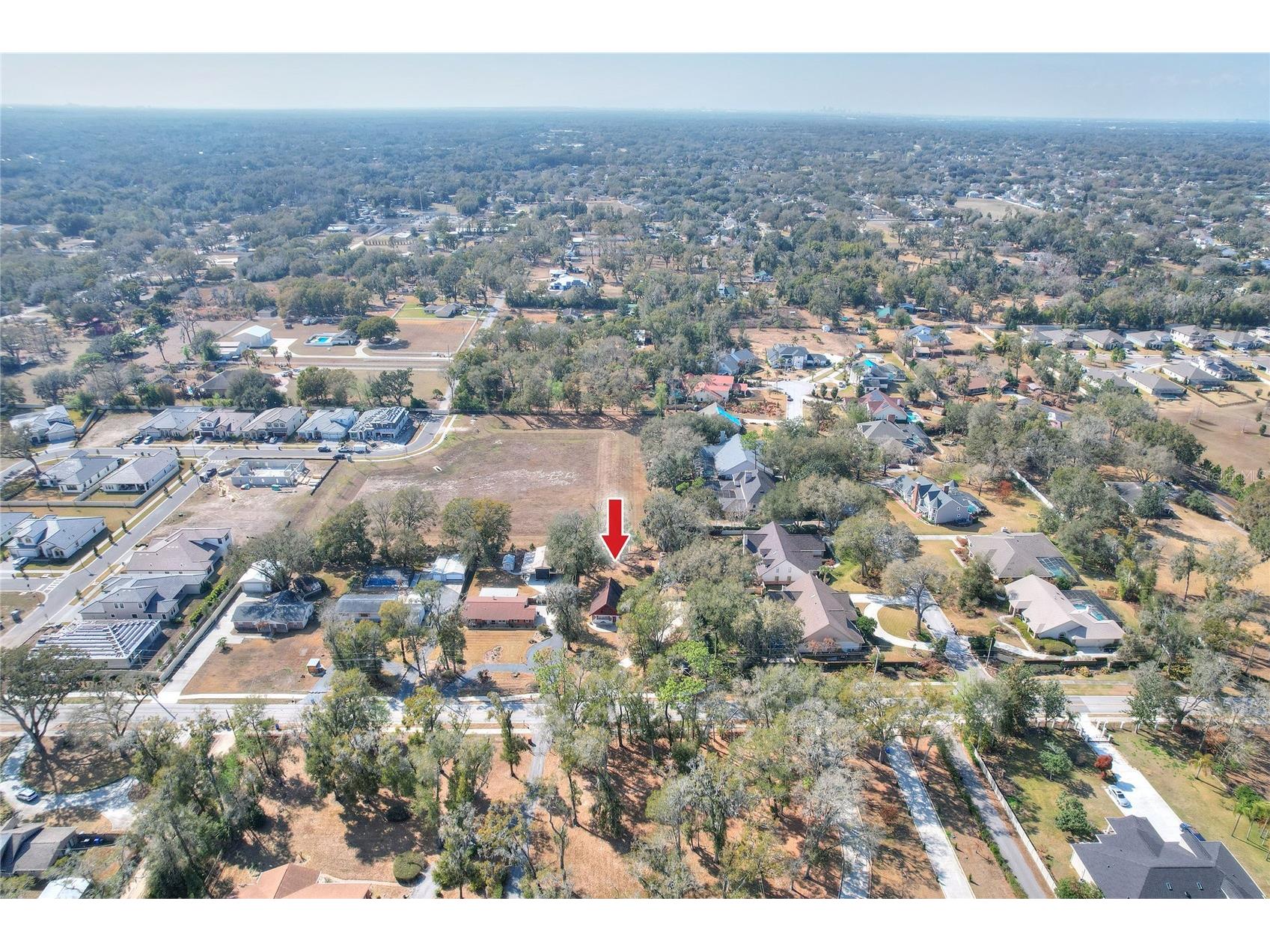 3205 Little Road Valrico FL 33596 TB8469553 image20