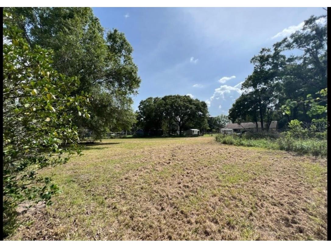 3205 Murray Farms Loop Plant City FL 33566 T3477672 image1