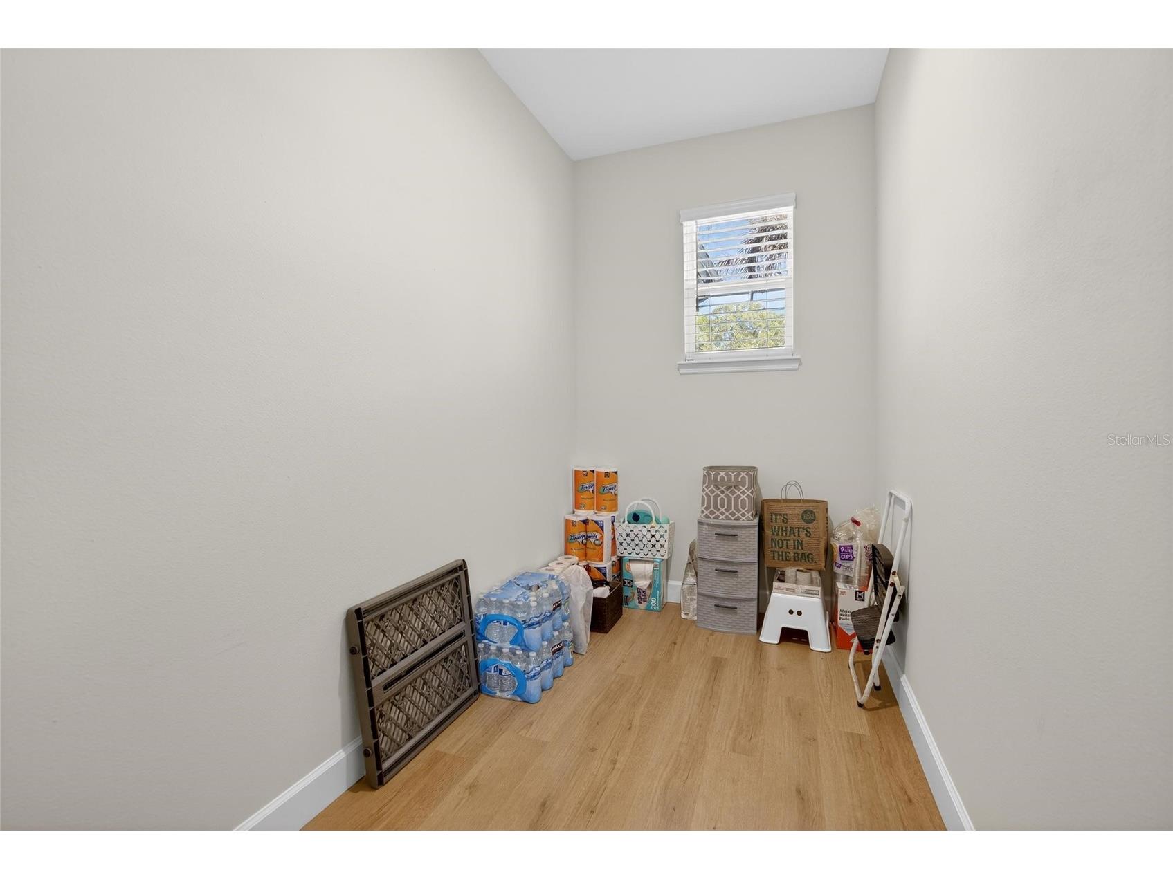 3205 Murray Farms Loop Plant City FL 33566 TB8485563 image19