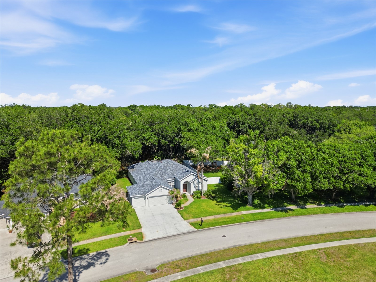 3205 Partridge Point Trail Valrico FL 33596 A4691457 image46