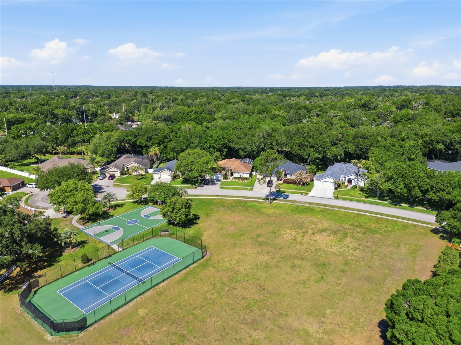3205 Partridge Point Trail Valrico FL 33596 A4691457 image49