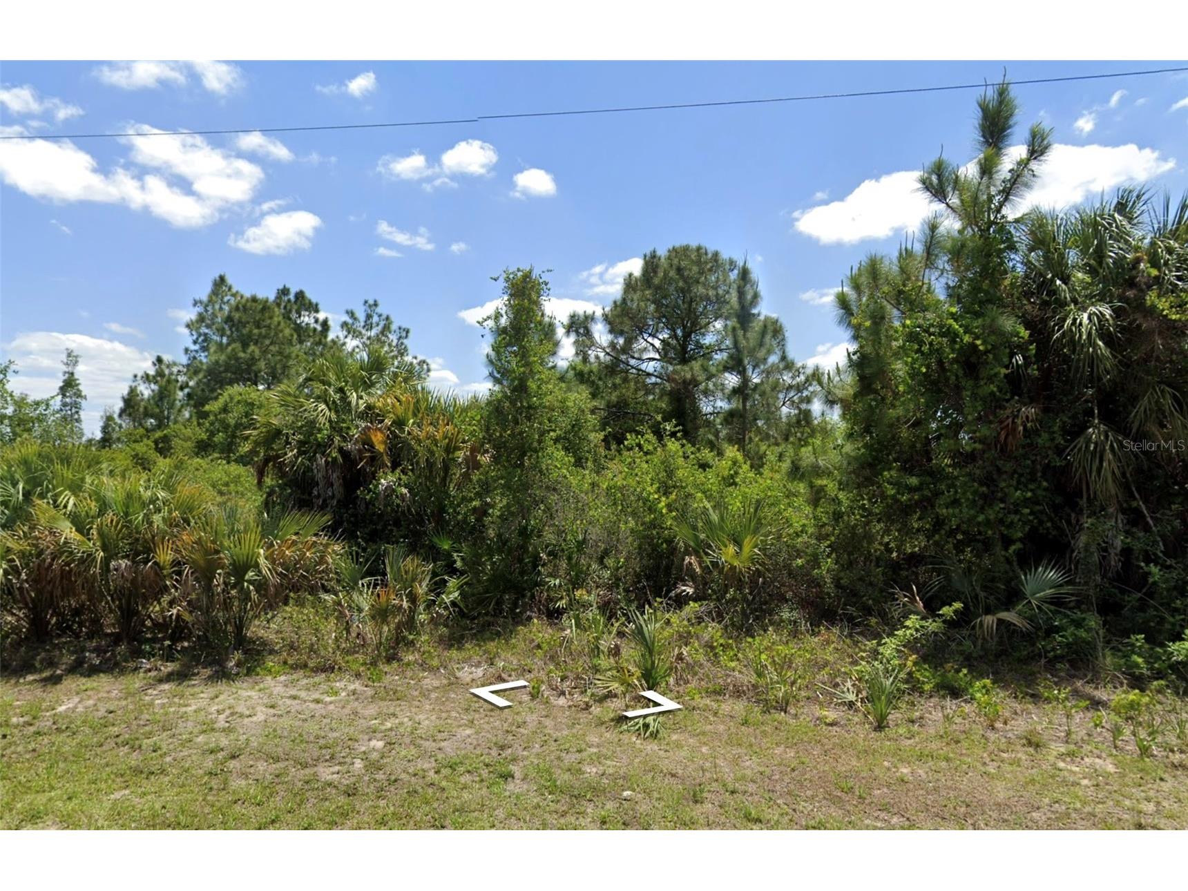 3205 W 54th Street Lehigh Acres FL 33971 OM716675 image2