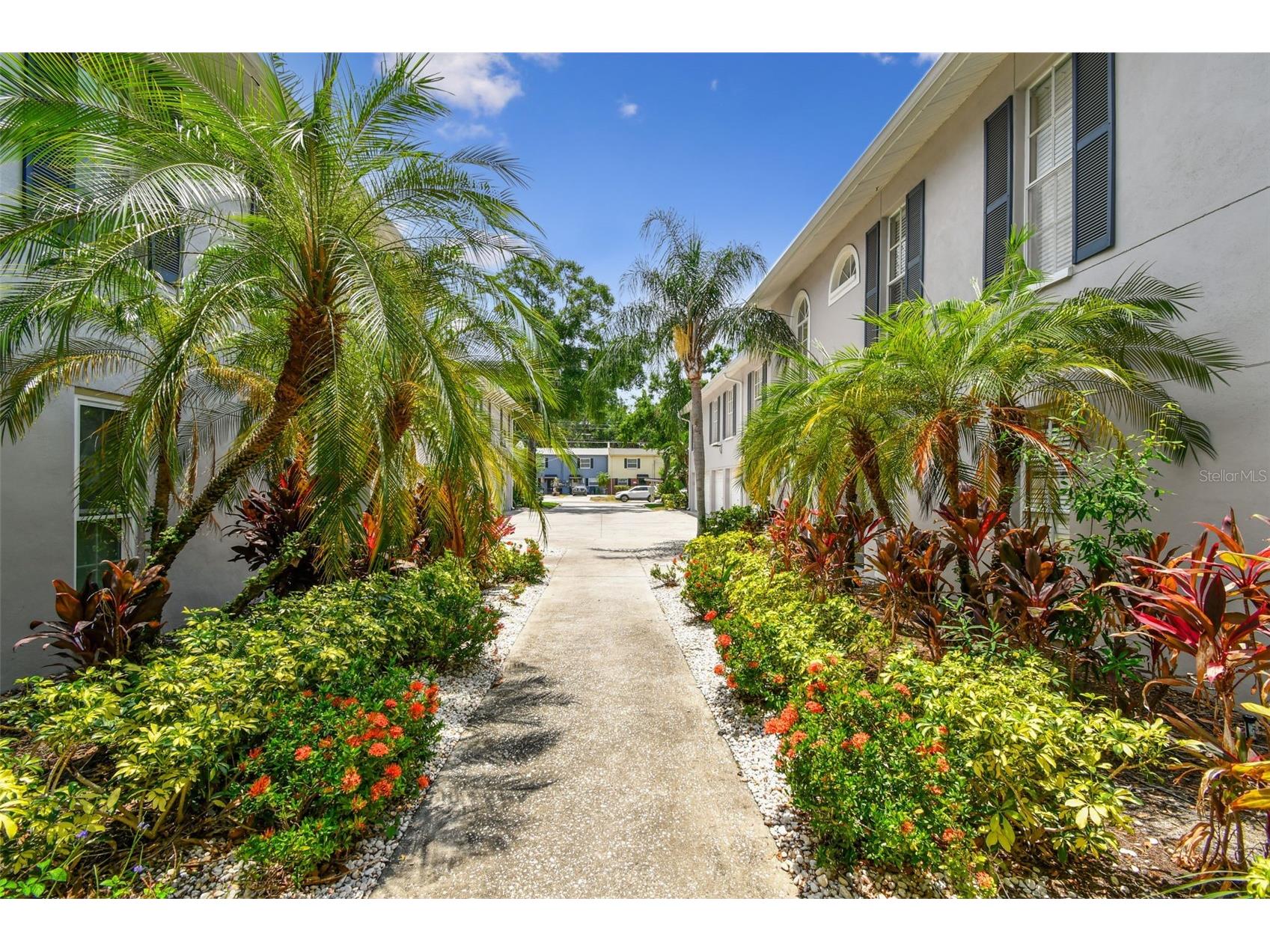 3205 W De Leon Street #F Tampa FL 33609 TB8384890 image18