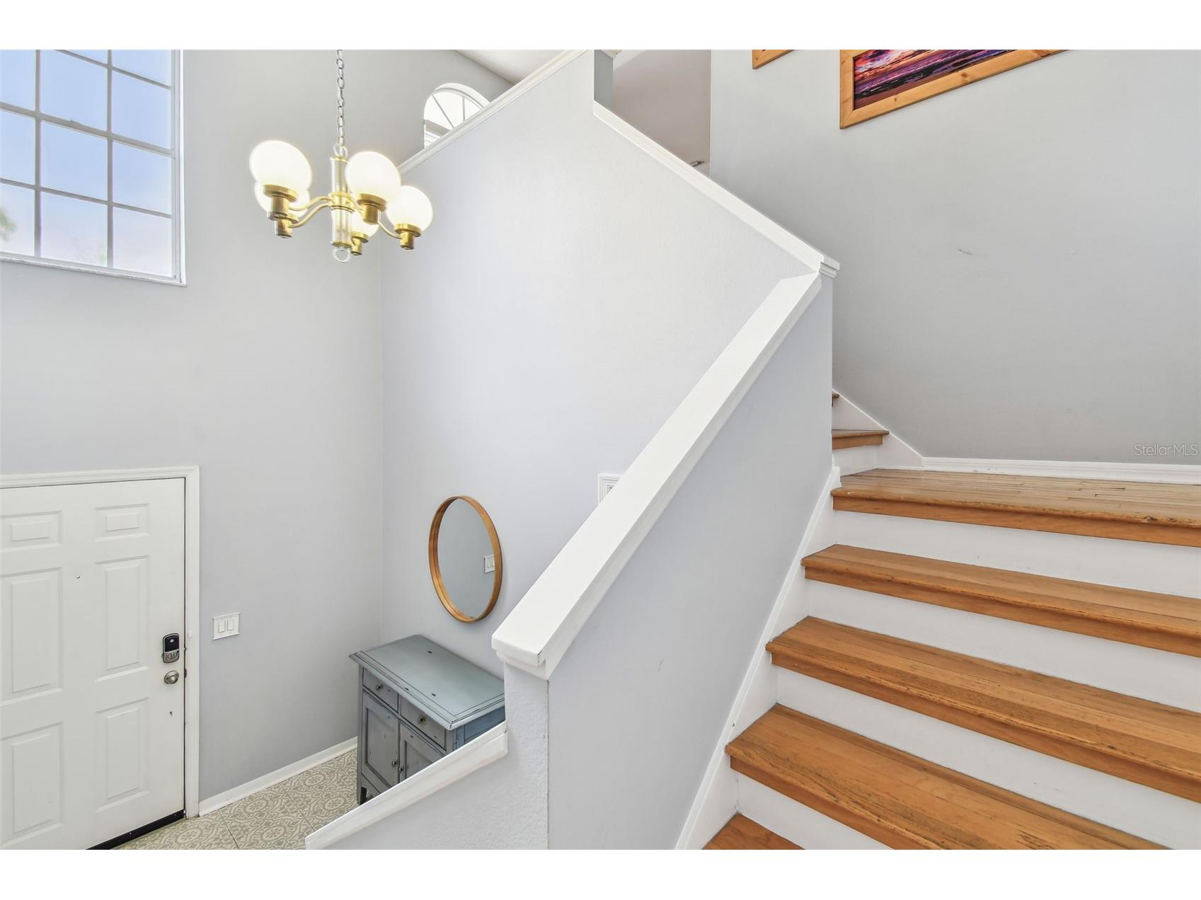 3205 W De Leon Street #F Tampa FL 33609 TB8384890 image3