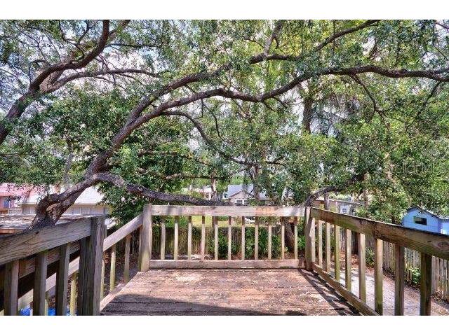 3205 W San Carlos Street #4 Tampa FL 33629 TB8459119 image8