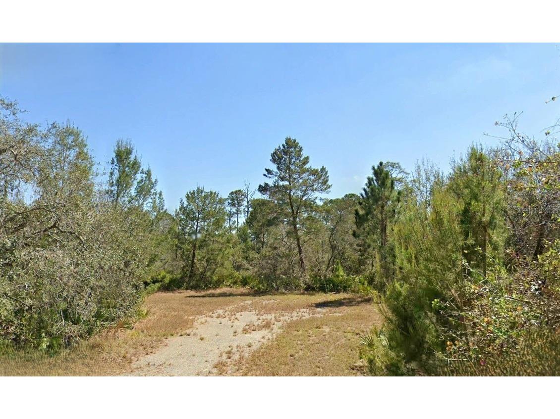 3206 Curlew Road Lake Placid FL 33852 O6312813 image1