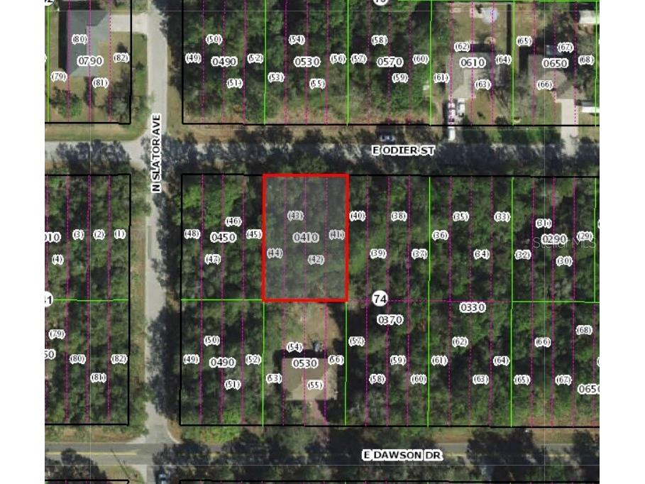 3206 E Odier Street Inverness FL 34453 G5088214 image1