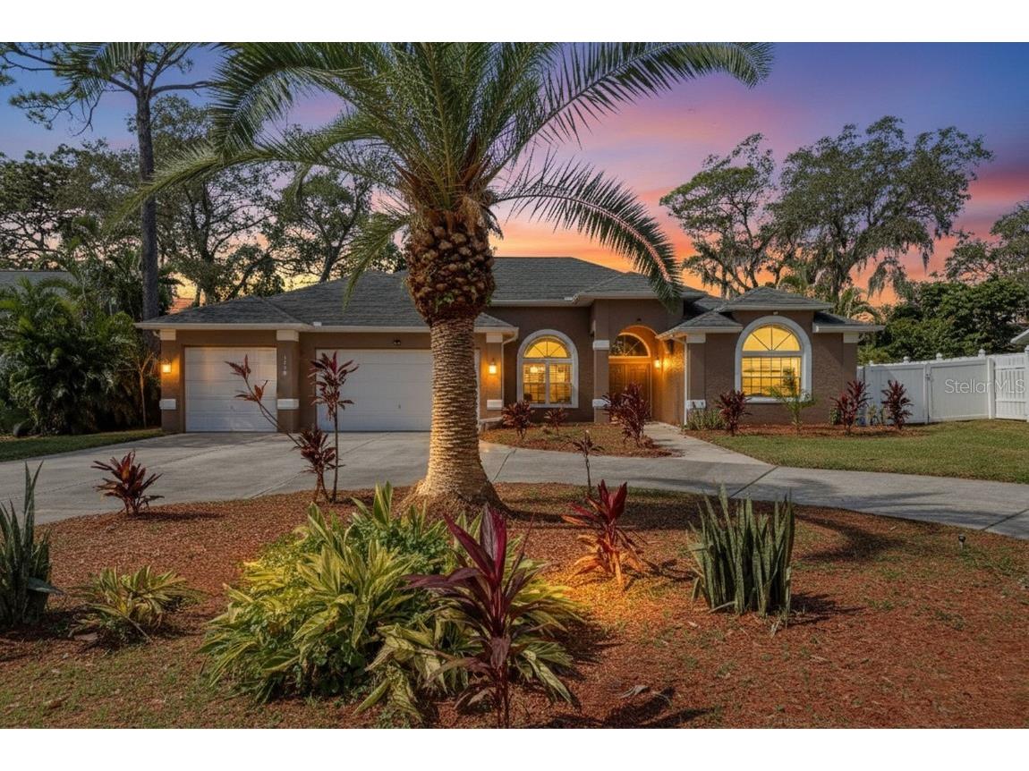 3206 Enisgrove Drive E Palm Harbor FL 34683 TB8443250 image1