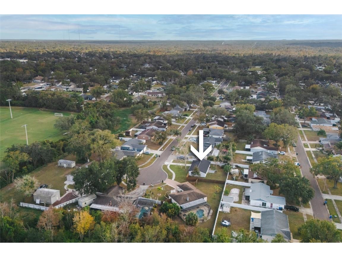 3206 Las Brisas Drive Riverview FL 33578 TB8461702 image37