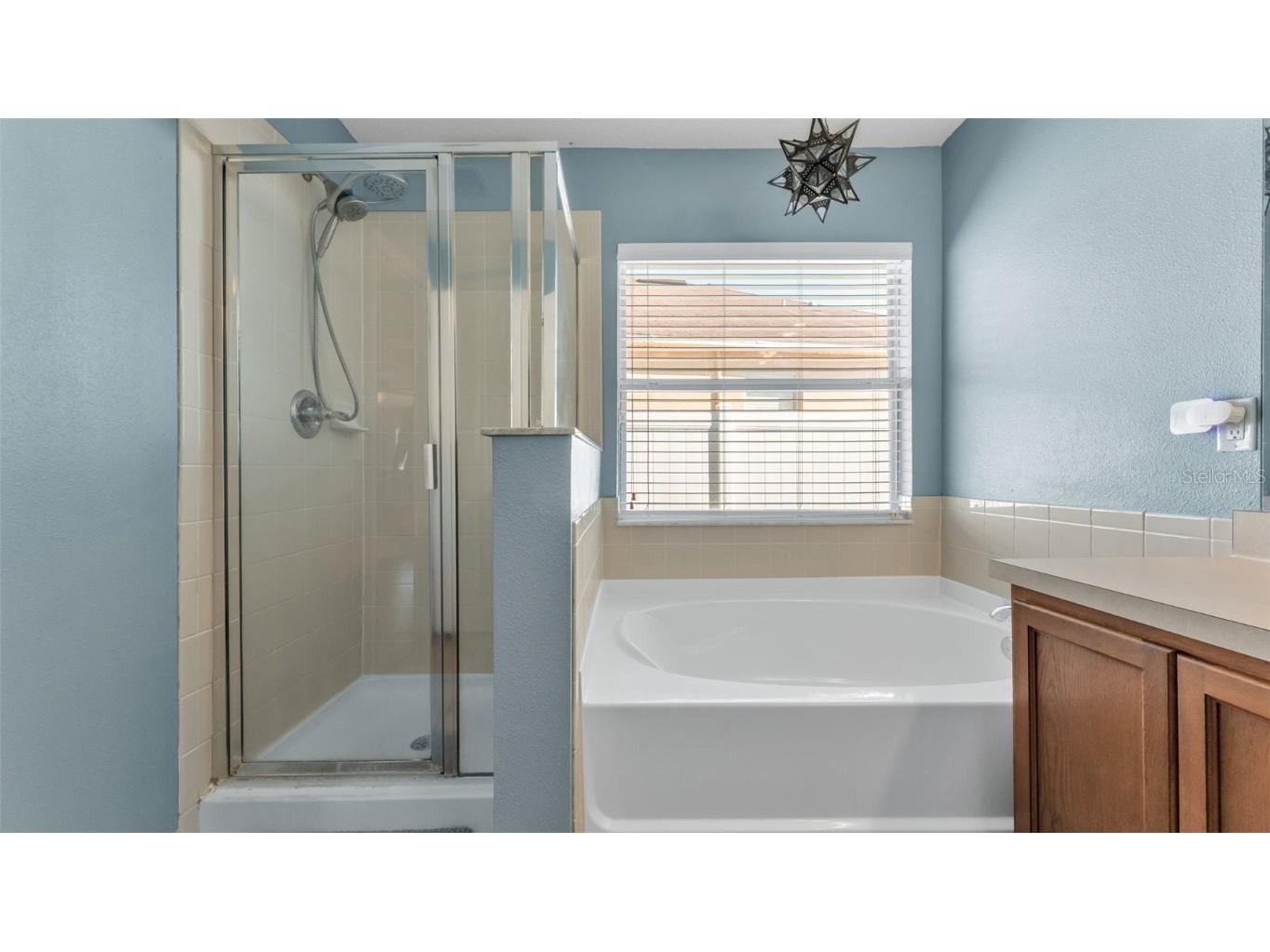 3206 Ogden Drive Mulberry FL 33860 L4957306 image24