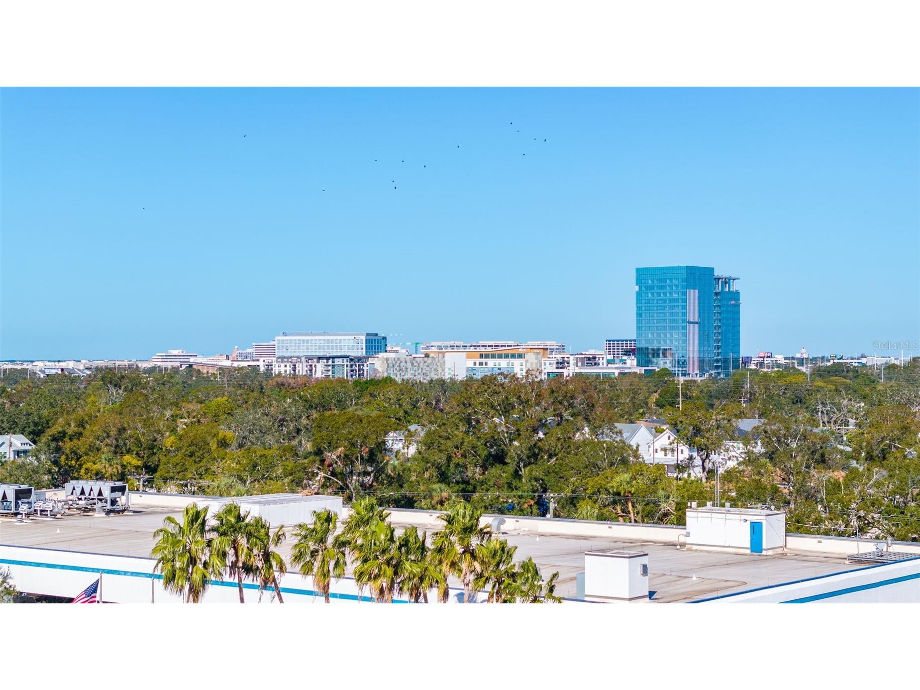 3206 W Azeele Street #128 Tampa FL 33609 TB8463266 image16