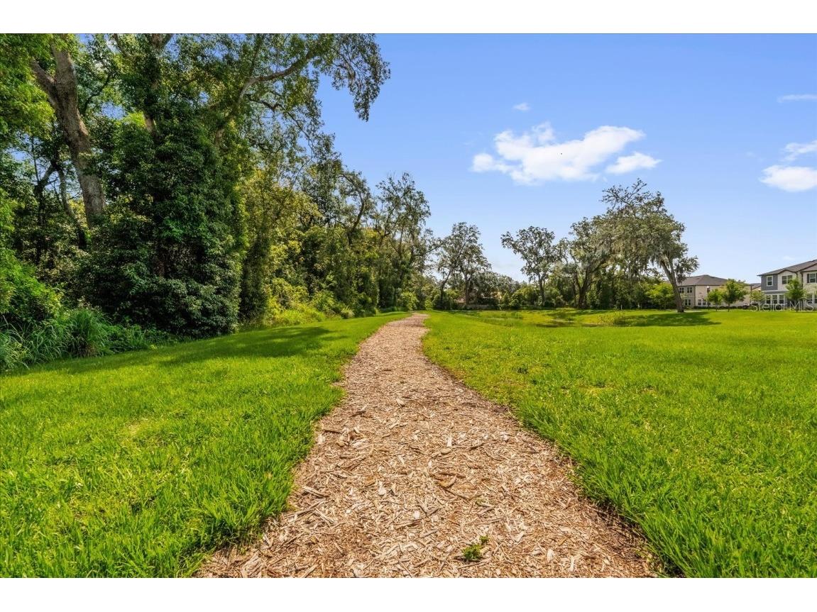 3206 Water Sprite Street Orlando FL 32808 O6311029 image25