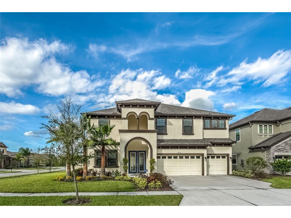 32060 Watoga Loop Wesley Chapel FL 33543 T3463169 image1