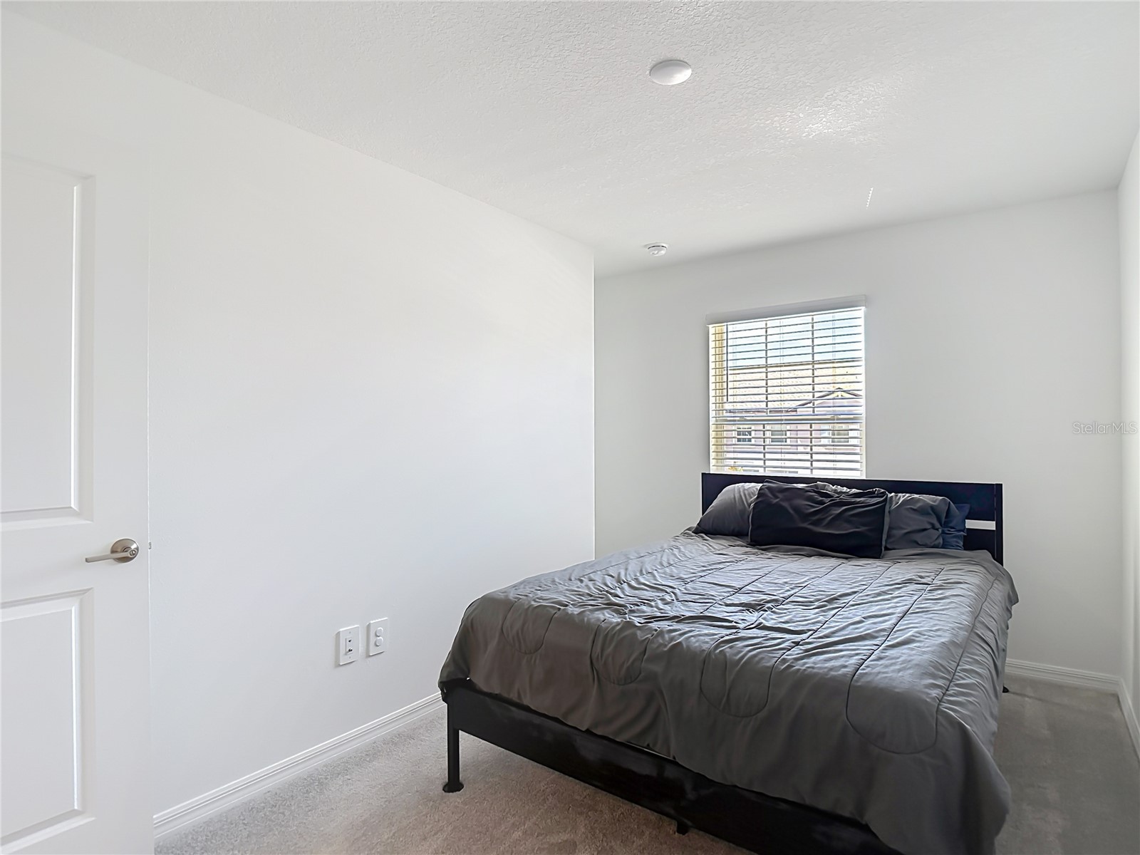 32067 Spiceberry Street San Antonio FL 33576 TB8527016 image35