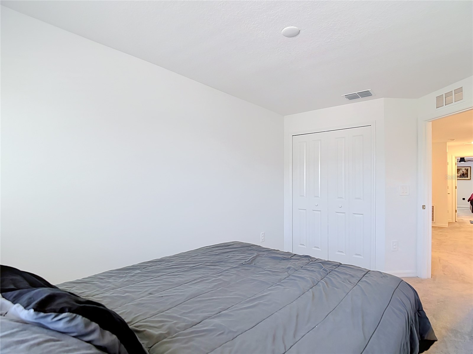 32067 Spiceberry Street San Antonio FL 33576 TB8527016 image36