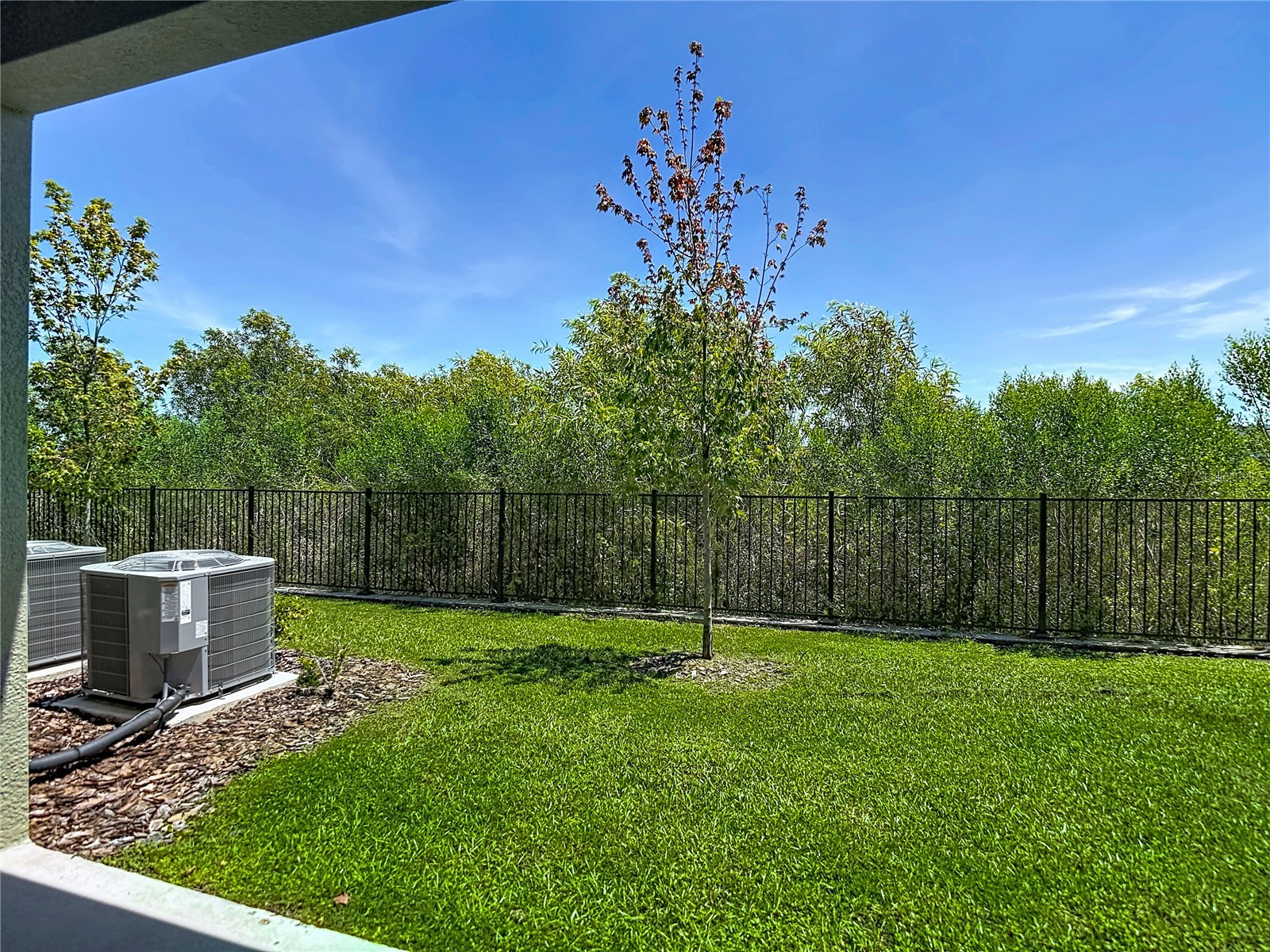 32067 Spiceberry Street San Antonio FL 33576 TB8527016 image41