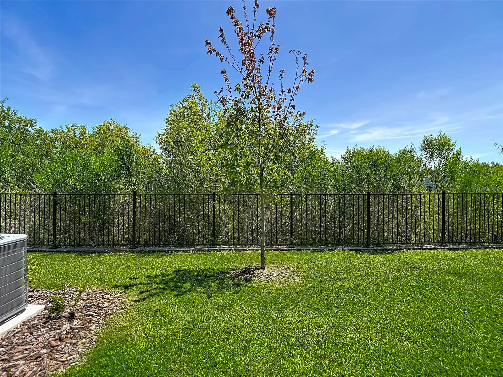 32067 Spiceberry Street San Antonio FL 33576 TB8527016 image44