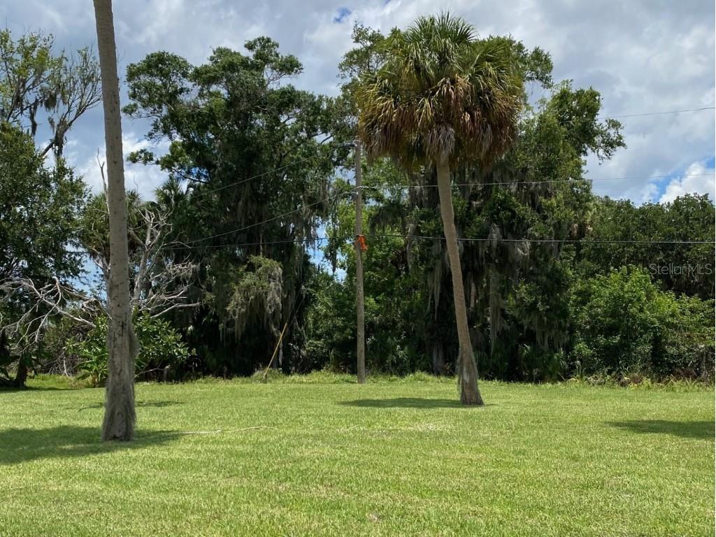 3207 8th Avenue E Palmetto FL 34221 T3465845 image1