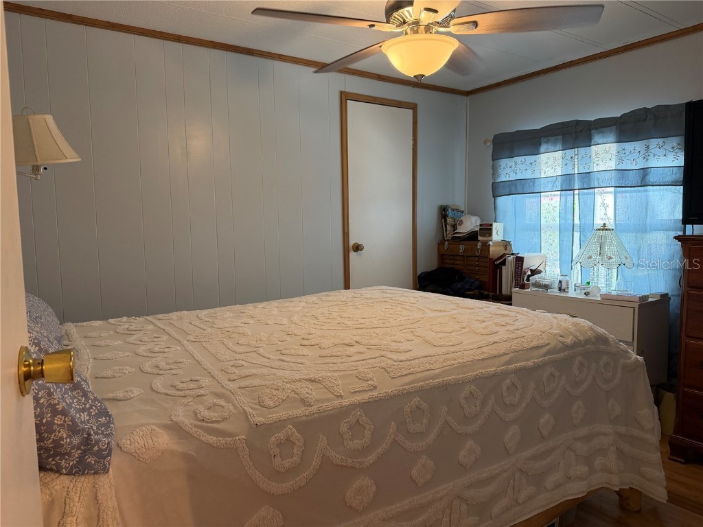 3207 Brewster Drive Holiday FL 34690 TB8444939 image17