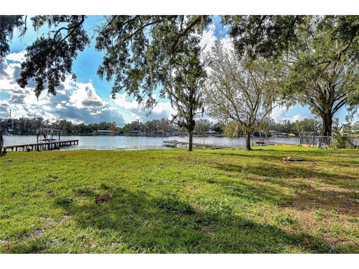 3207 Lake Padgett Drive Land O Lakes FL 34639 - LAKE PADGETT TB8333825 image3