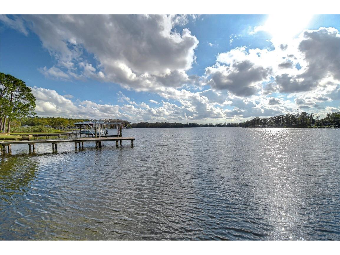 3207 Lake Padgett Drive Land O Lakes FL 34639 - LAKE PADGETT TB8333825 image5