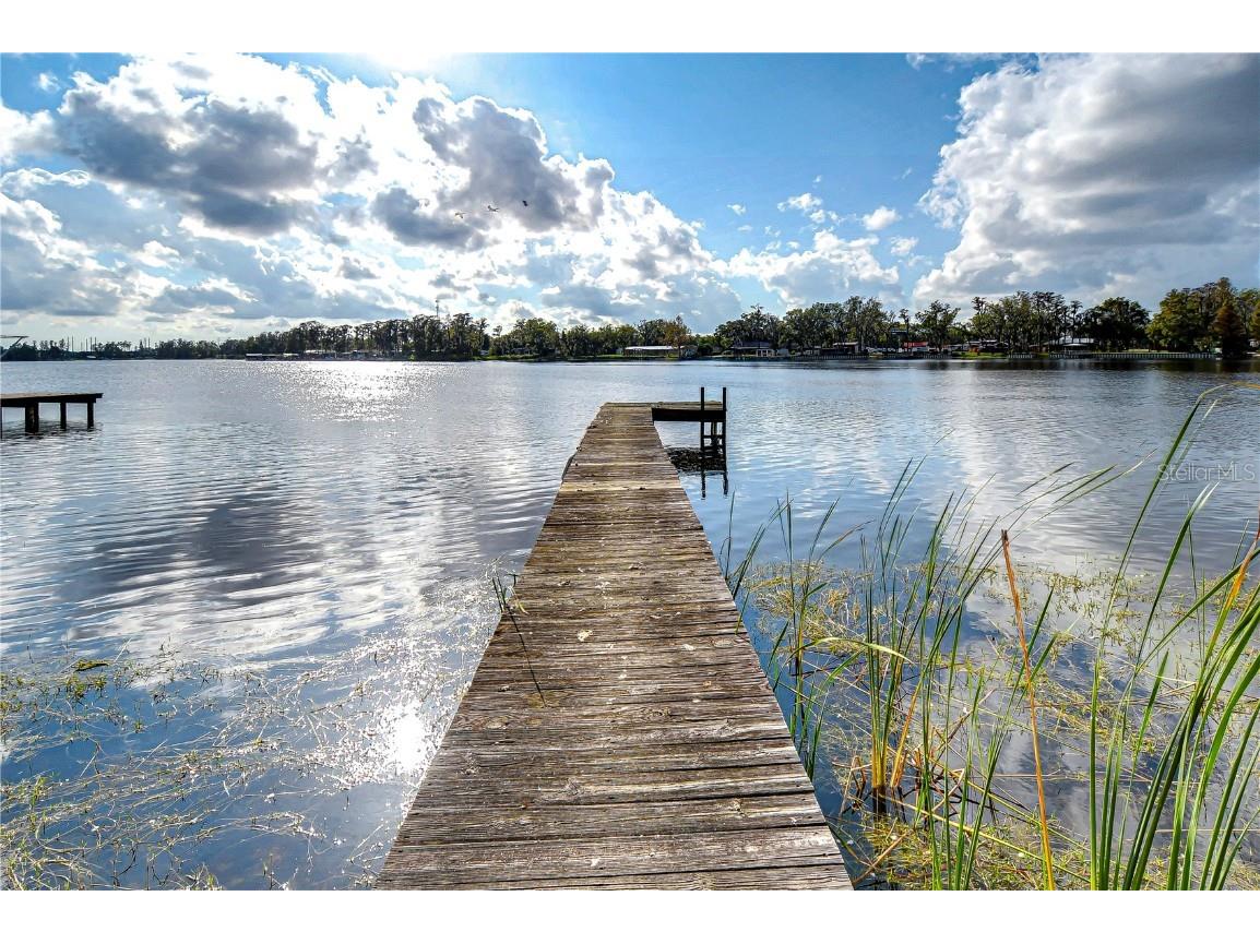3207 Lake Padgett Drive Land O Lakes FL 34639 TB8366431 image3