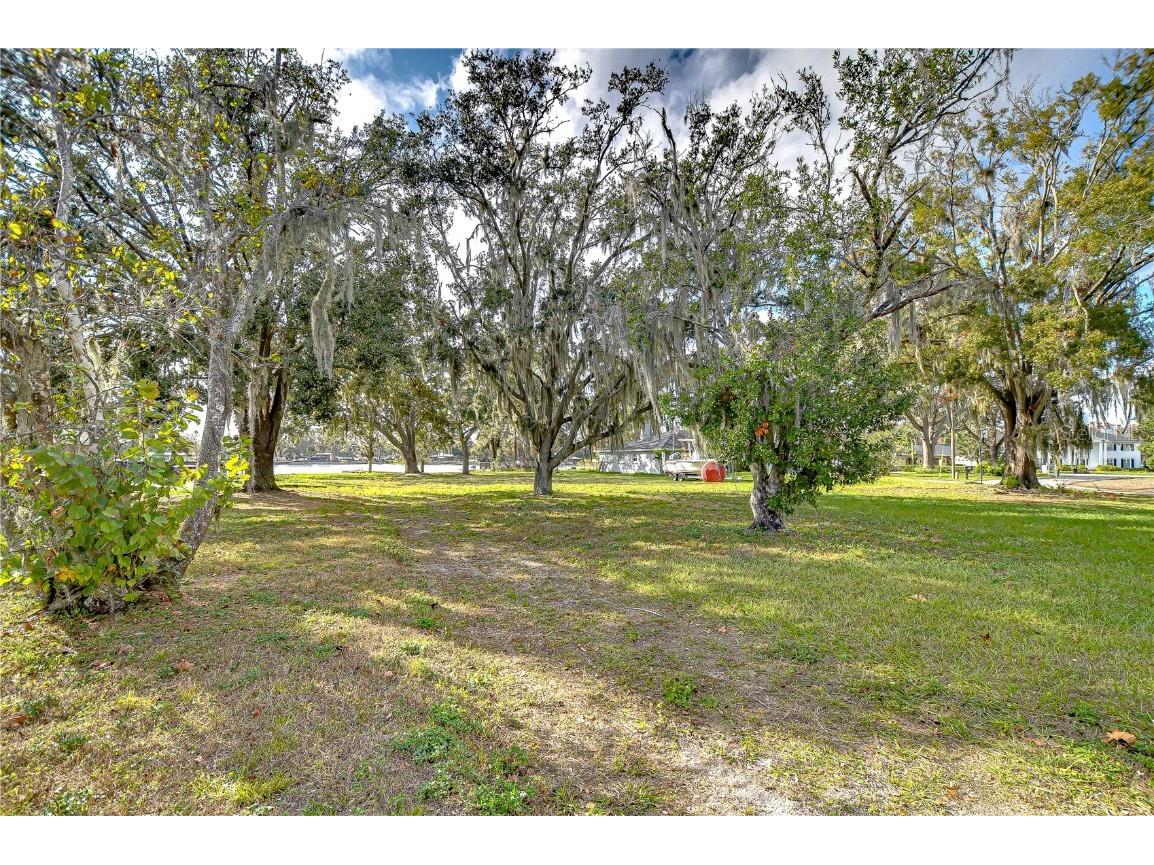 3207 Lake Padgett Drive Land O Lakes FL 34639 TB8366431 image4