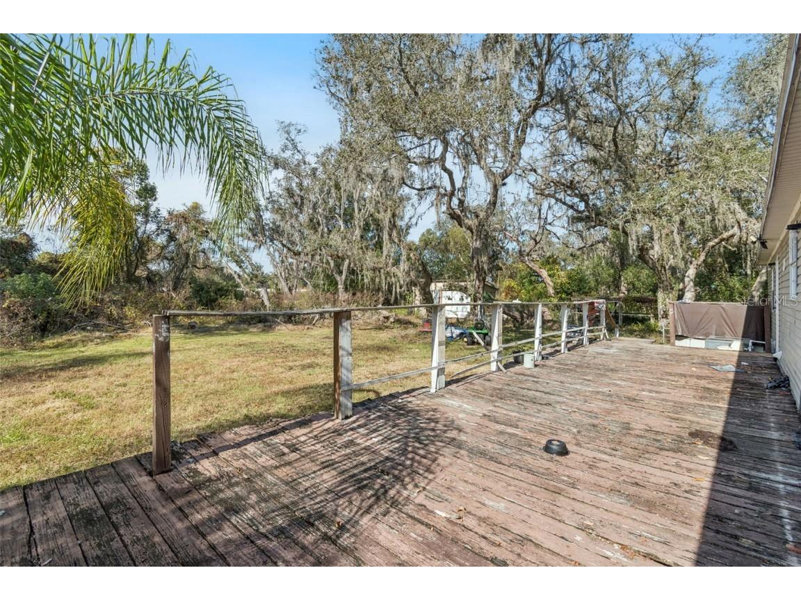 3207 Mazie Drive Zephyrhills FL 33541 TB8461250 image29