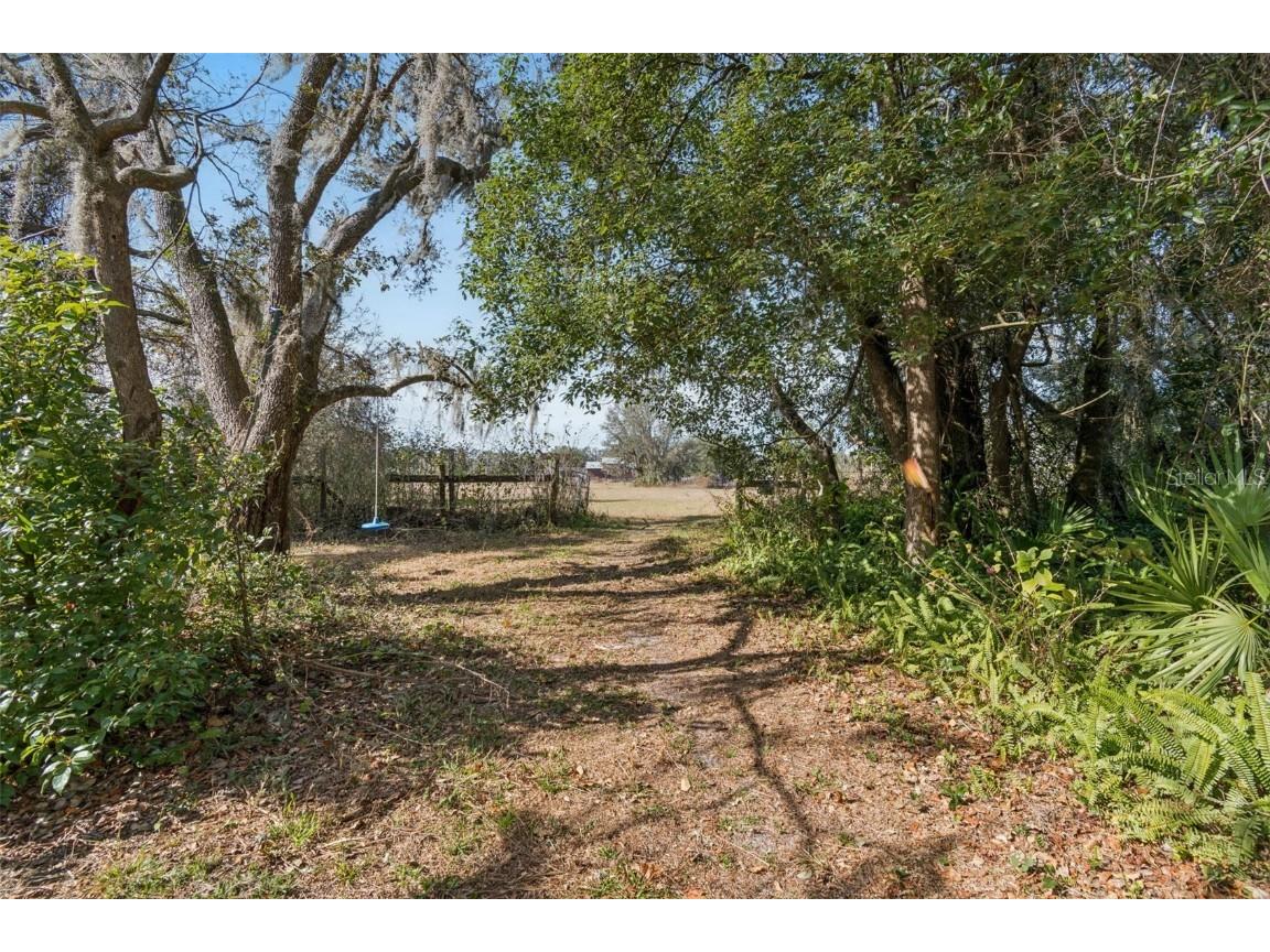 3207 Mazie Drive Zephyrhills FL 33541 TB8461250 image32